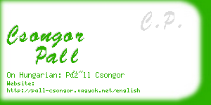 csongor pall business card